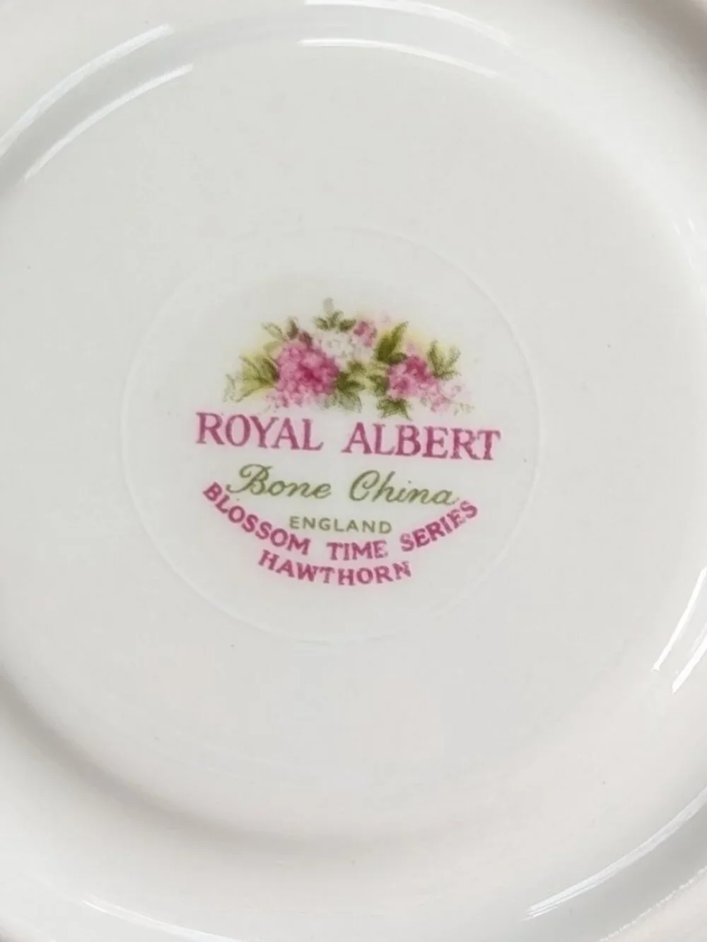 Royal Albert Blossom Time Hawthorn Teacup & Saucer Bone China England Gilt